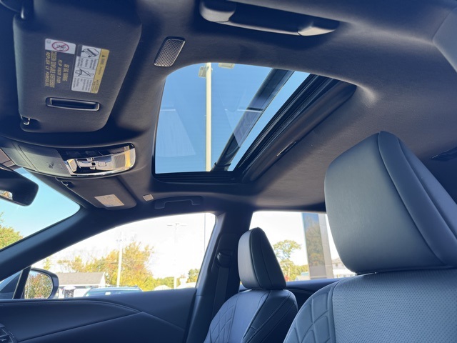 2024 Lexus RX 350 photo 12