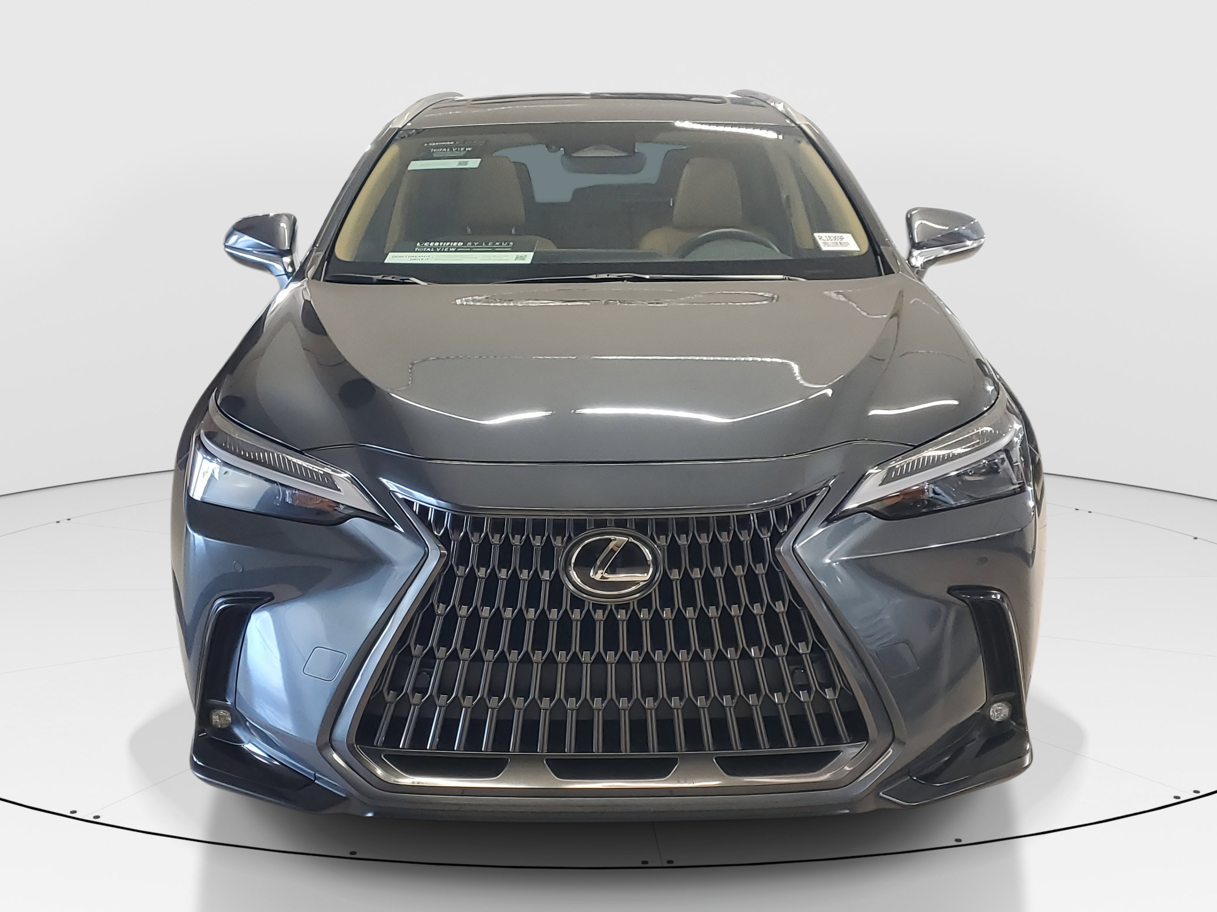 2025 Lexus NX 250 Premium photo 3