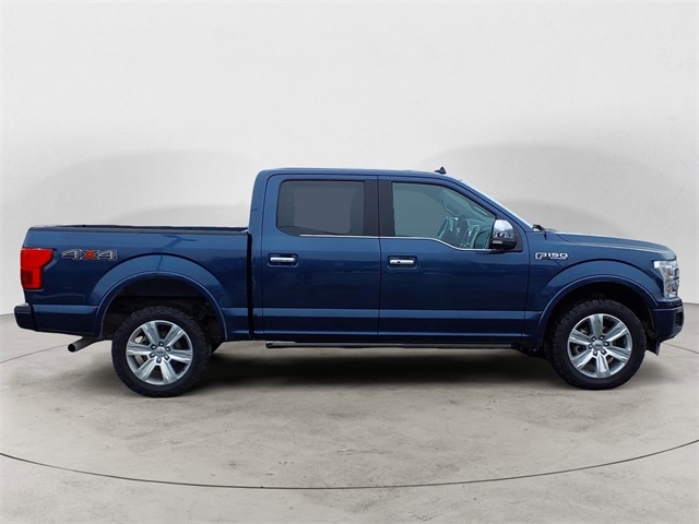 2019 Ford F-150 Platinum photo 6