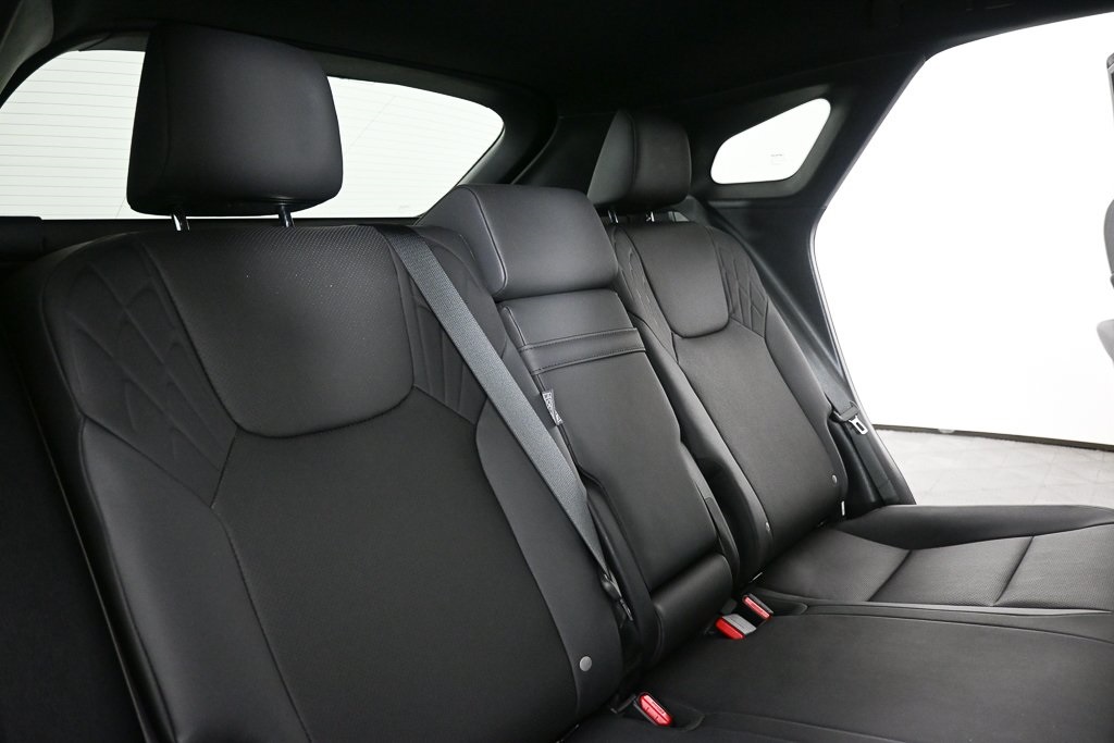 2024 Lexus RX 350 photo 15