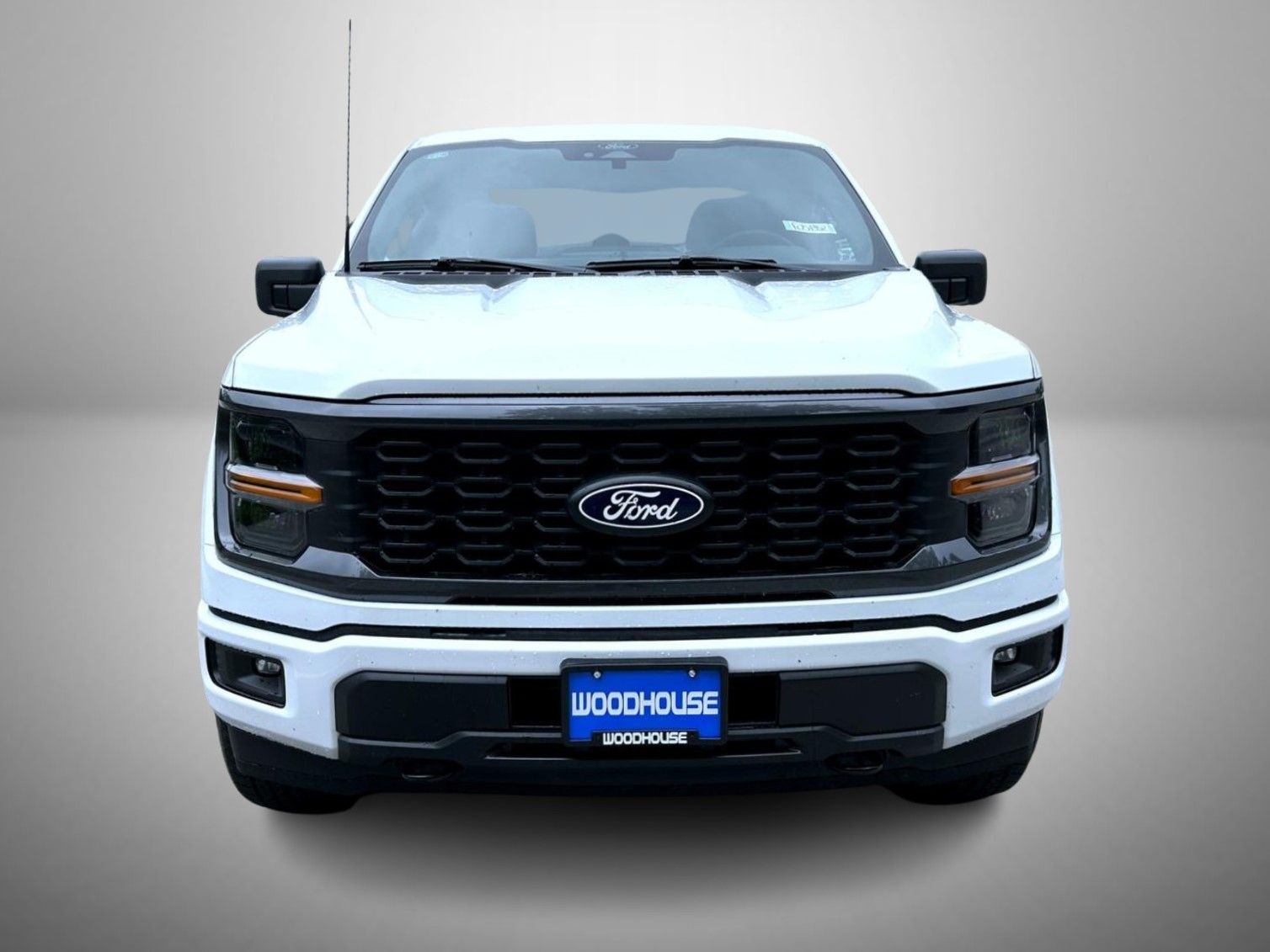 2025 Ford F-150 STX photo 2