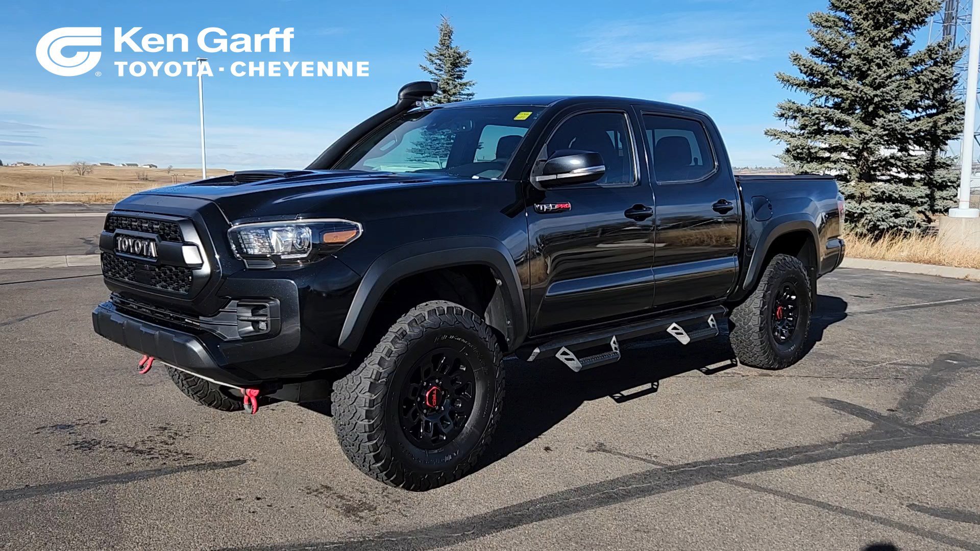 2019 Toyota Tacoma TRD Pro's photo