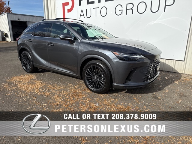 2024 Lexus RX 350's photo