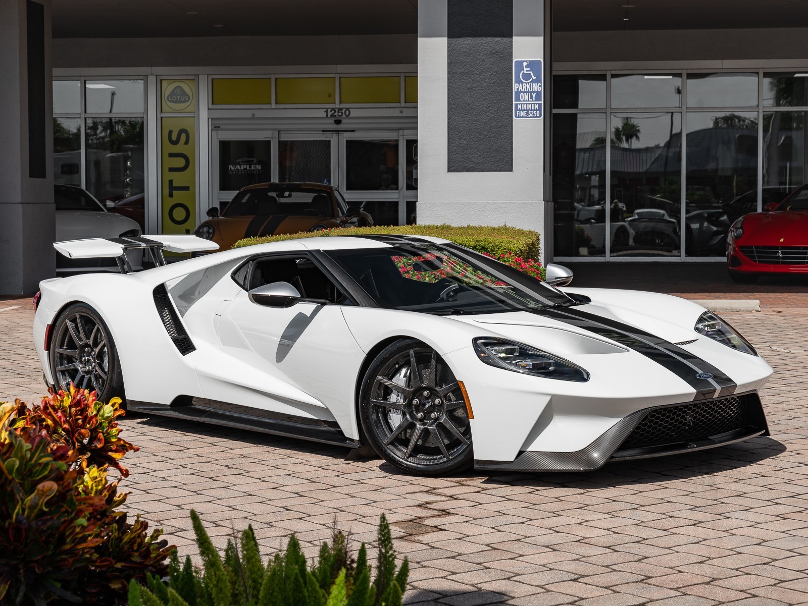 2019 Ford GT photo 12