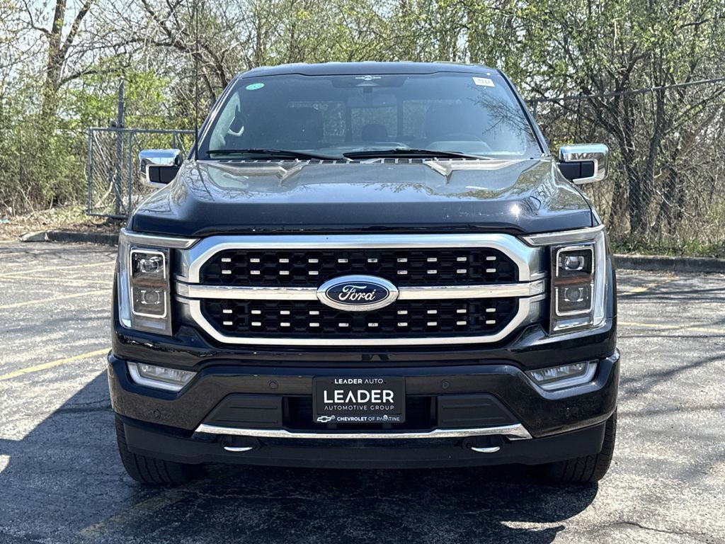 2023 Ford F-150 Platinum photo 2
