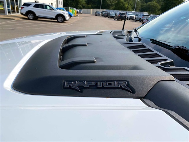 2021 Ford F-150 Raptor photo 10