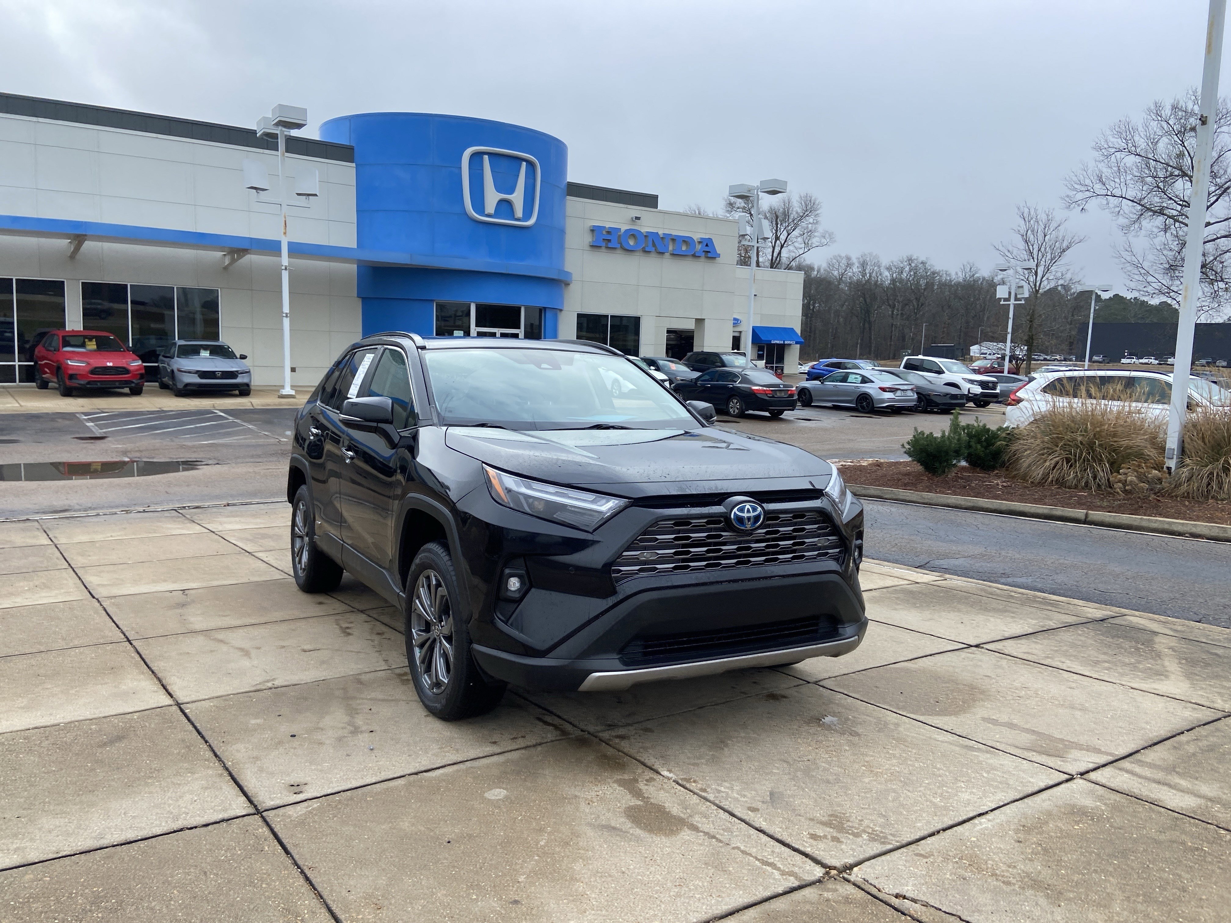 Used 2023 Toyota RAV4 Limited with VIN 4T3D6RFV1PU109032 for sale in Northfield, Minnesota