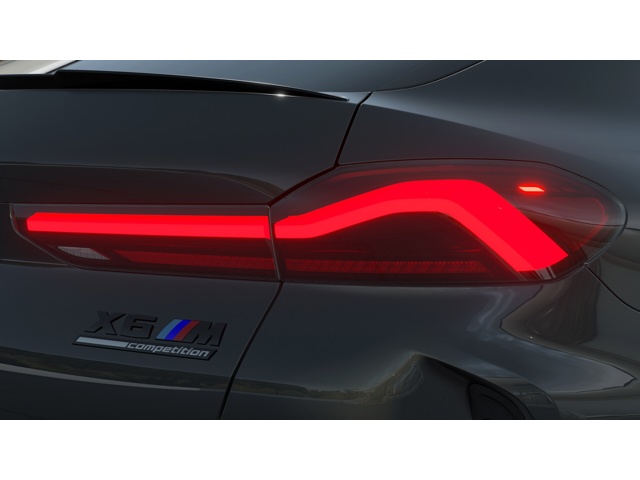 2026 Bmw X6 photo 5