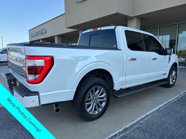 2023 Ford F-150 Limited photo 4