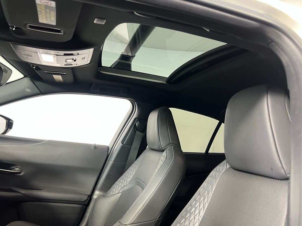 2021 Lexus UX 250h photo 21