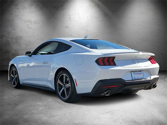 2025 Ford Mustang EcoBoost Premium photo 4