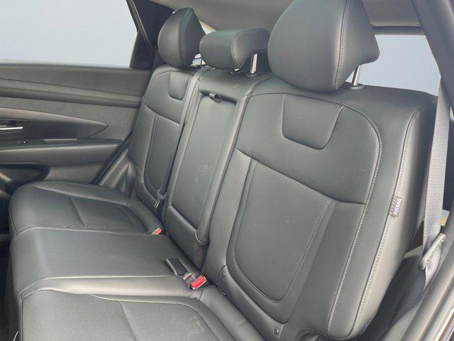 2025 Hyundai Tucson Hybrid SEL Convenience photo 13