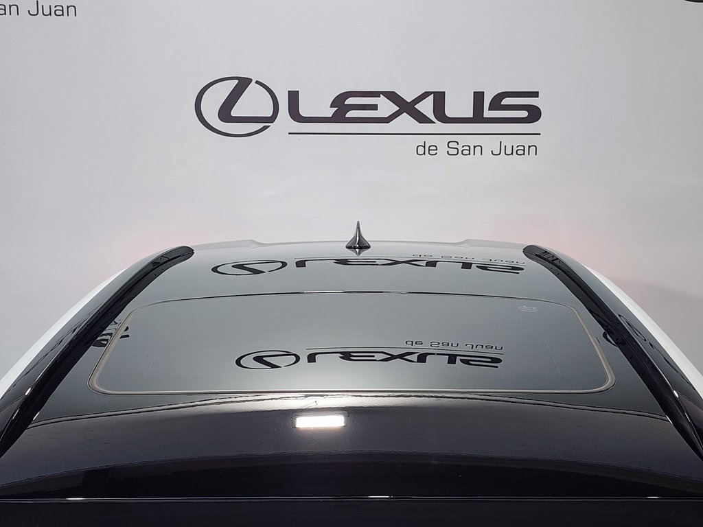 2025 Lexus UX photo 6