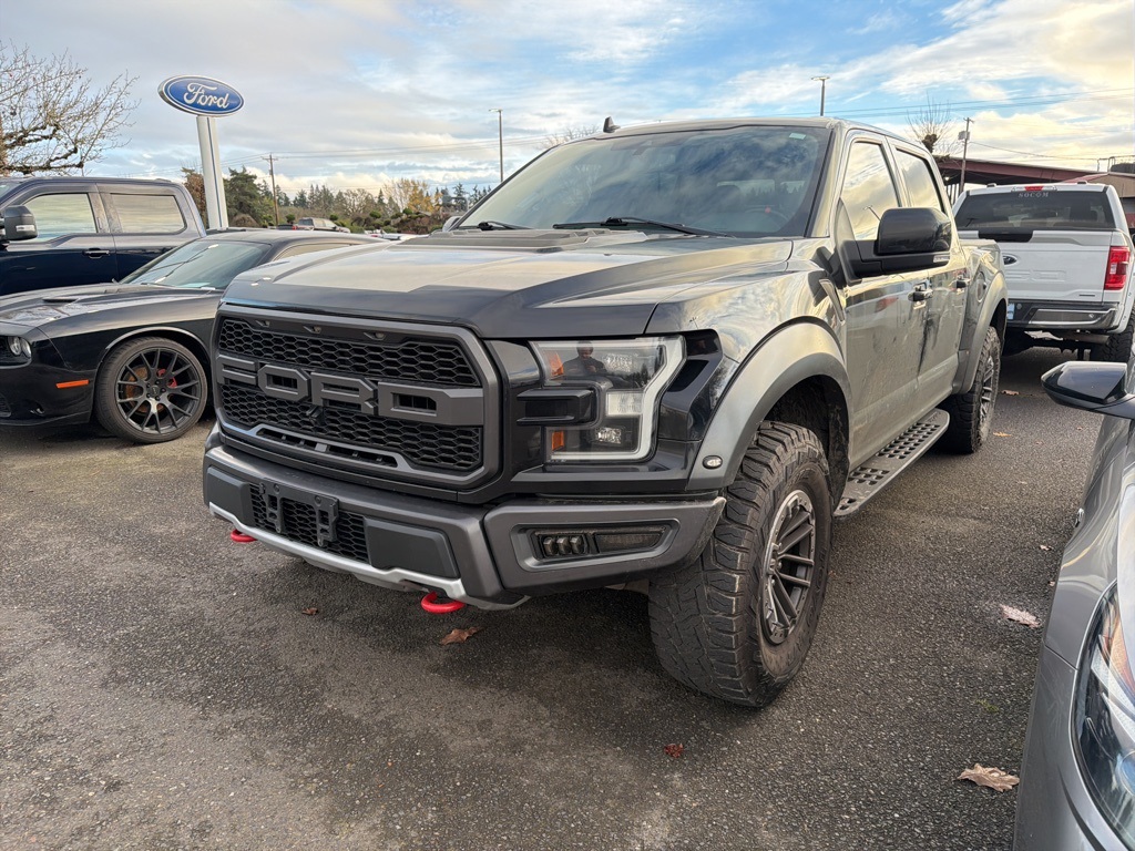 2019 Ford F-150 Raptor's photo