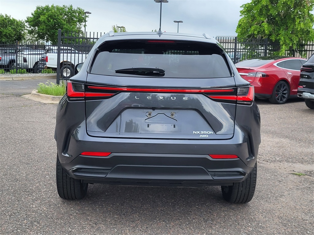 2024 Lexus NX 350h Luxury photo 5