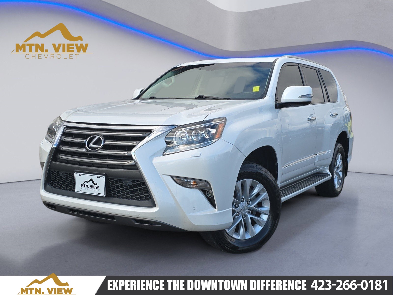 2018 Lexus GX PREMIUM's photo