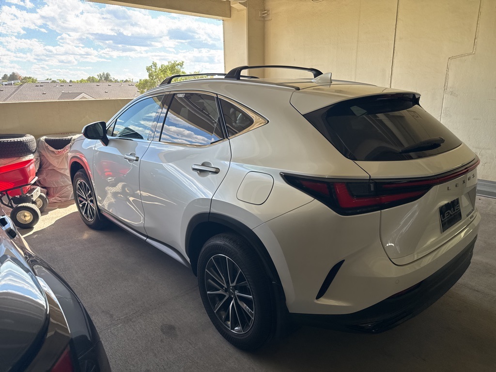 2025 Lexus NX 350h photo 4