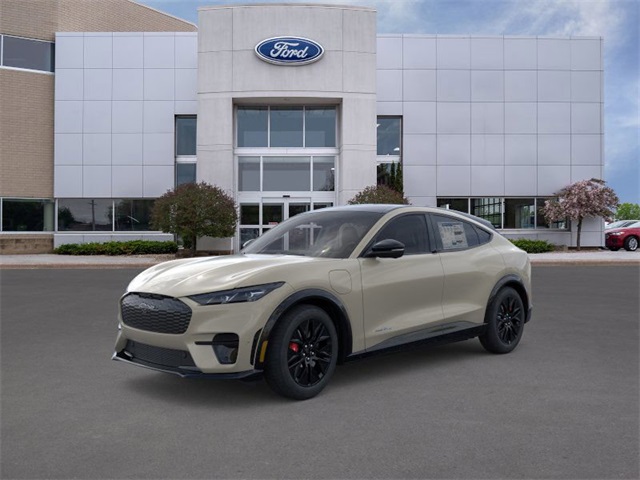 2025 Ford Mustang Mach-E Premium AWD's photo