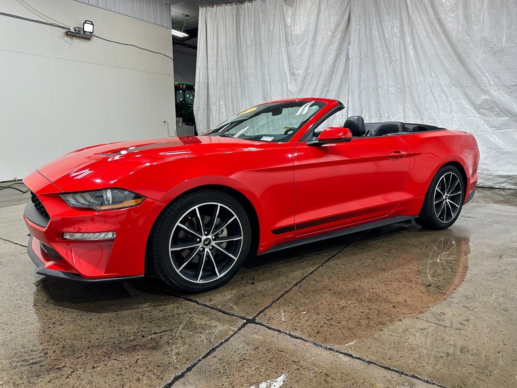 2020 Ford Mustang EcoBoost Premium photo 15
