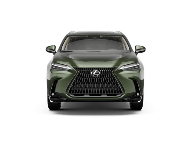2026 Lexus NX 350 Luxury photo 5