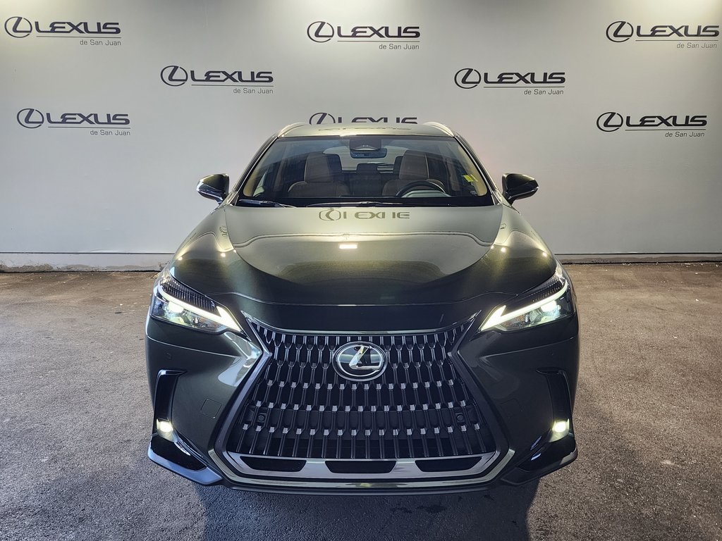 2025 Lexus NX 250 photo 2
