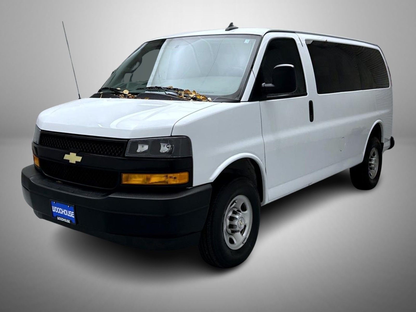 2023 Chevrolet Express Passenger LS's photo