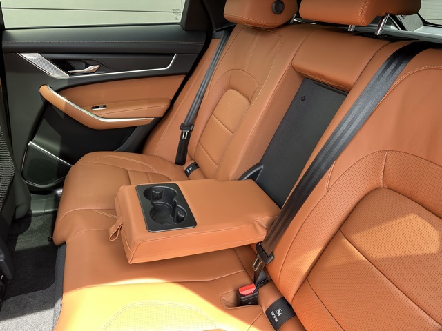 2026 Jaguar F-PACE P250 R-Dynamic S photo 15