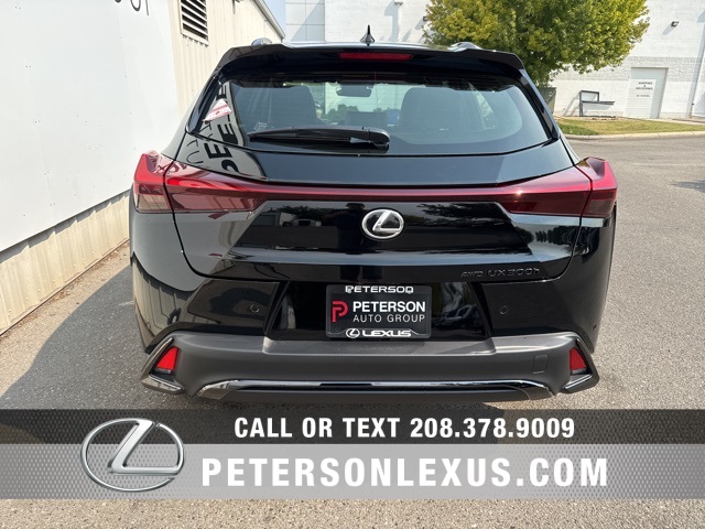 2025 Lexus UX F SPORT Design photo 5