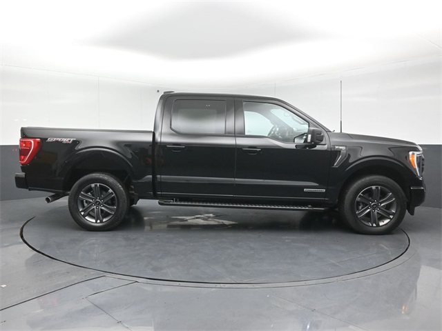 2023 FORD F-150 - Image 8