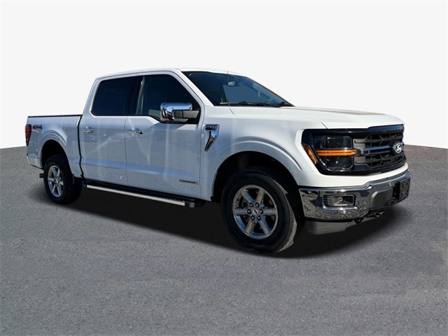 2024 Ford F-150 XLT photo 4