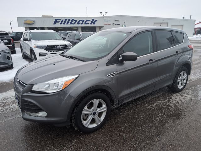 2014 Ford Escape SE's photo