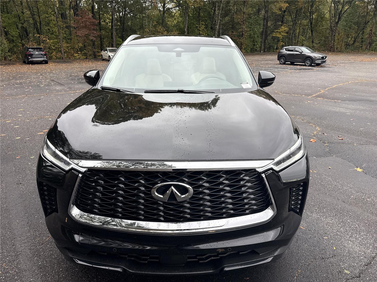 2025 Infiniti QX60 Luxe photo 2