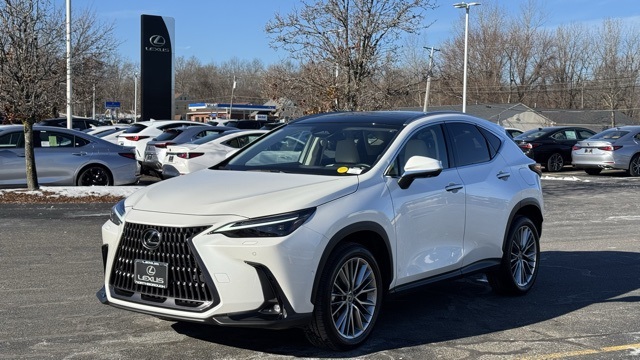 2025 Lexus NX 350's photo