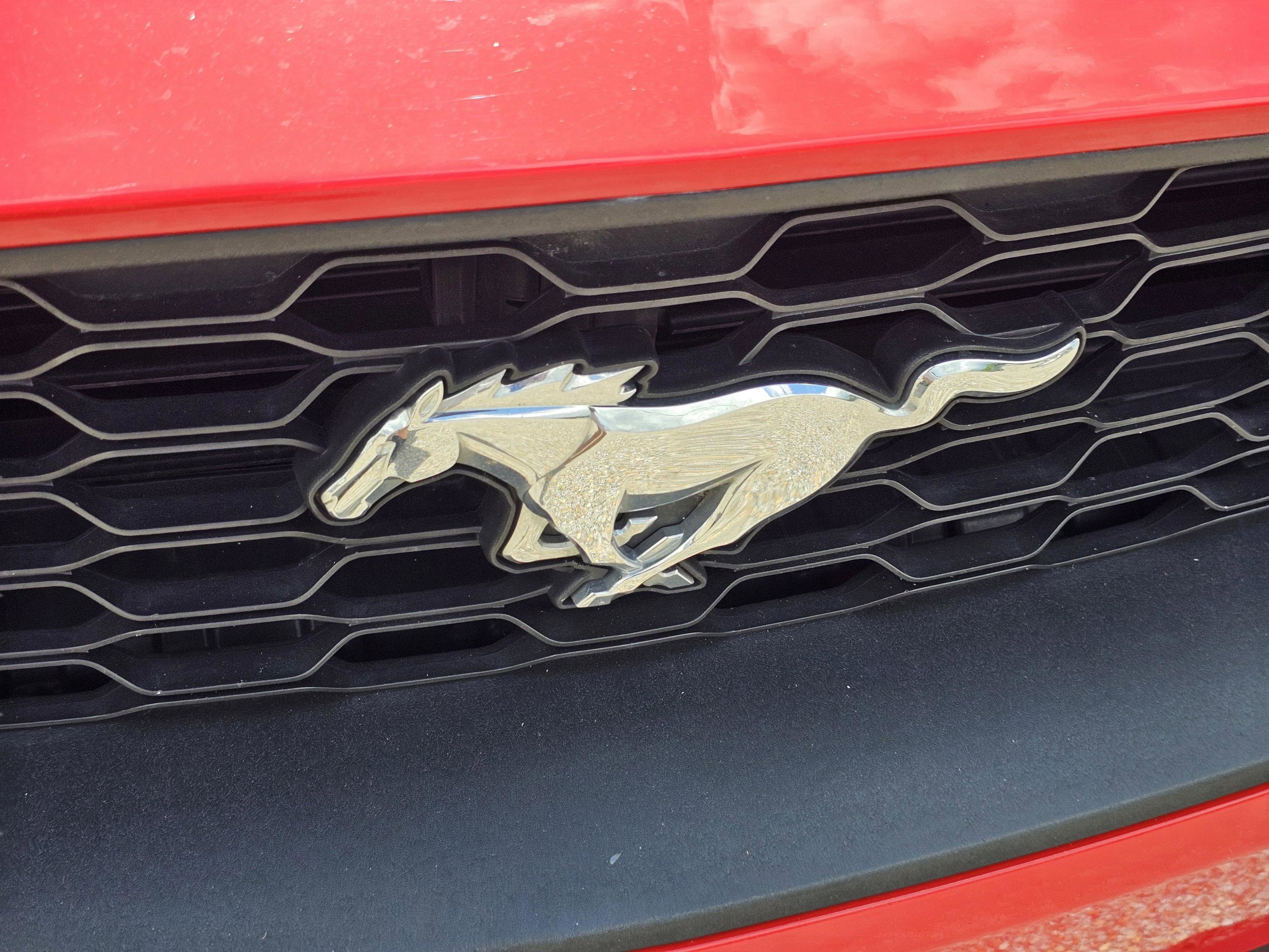 2023 Ford Mustang EcoBoost Premium photo 3