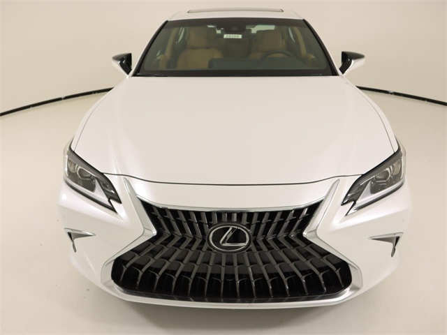 2025 Lexus ES 300h photo 6