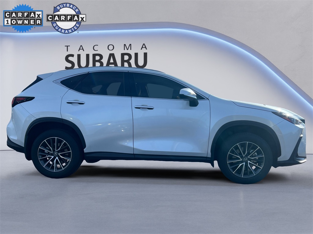 2024 Lexus NX 350 photo 5
