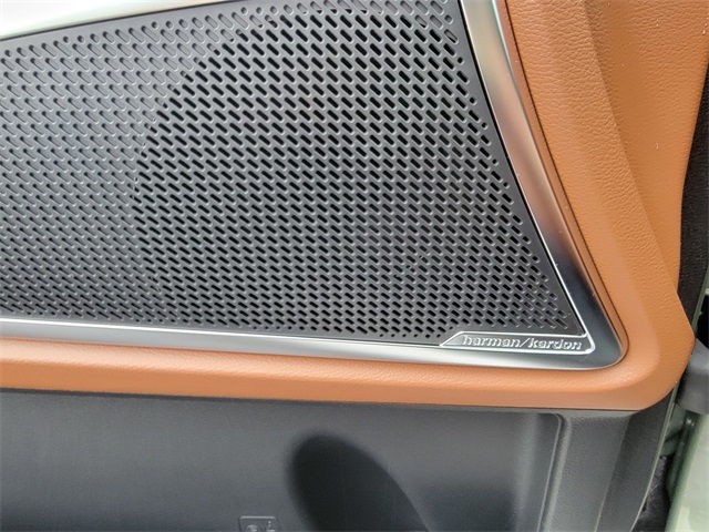 2025 Kia Telluride SX Prestige X-Line photo 33