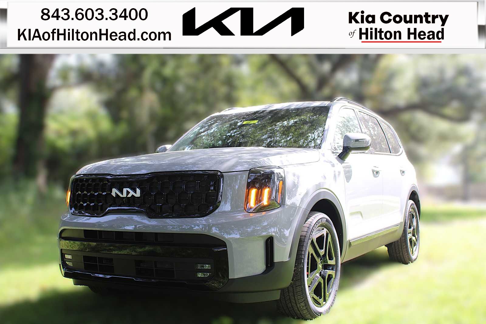 2025 Kia Telluride SX Prestige X-Line's photo