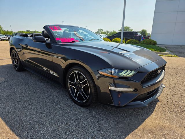 2023 Ford Mustang EcoBoost Premium photo 29