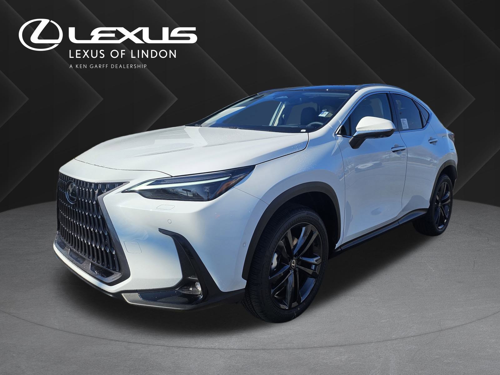 2026 Lexus NX PHEV 450h+'s photo
