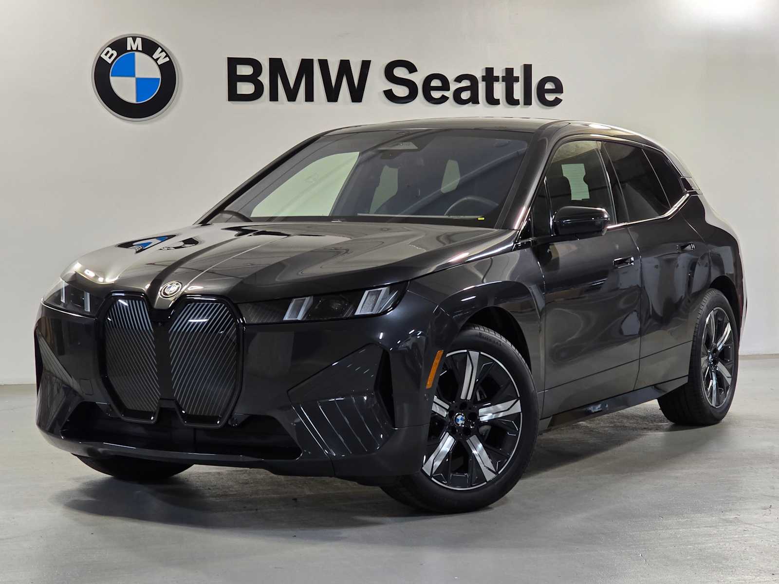 2026 BMW iX 60's photo