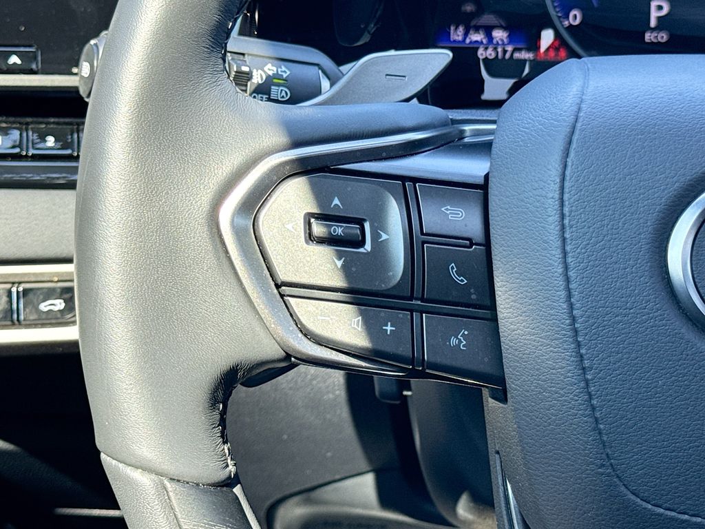 2024 Lexus RX 350 Premium photo 22