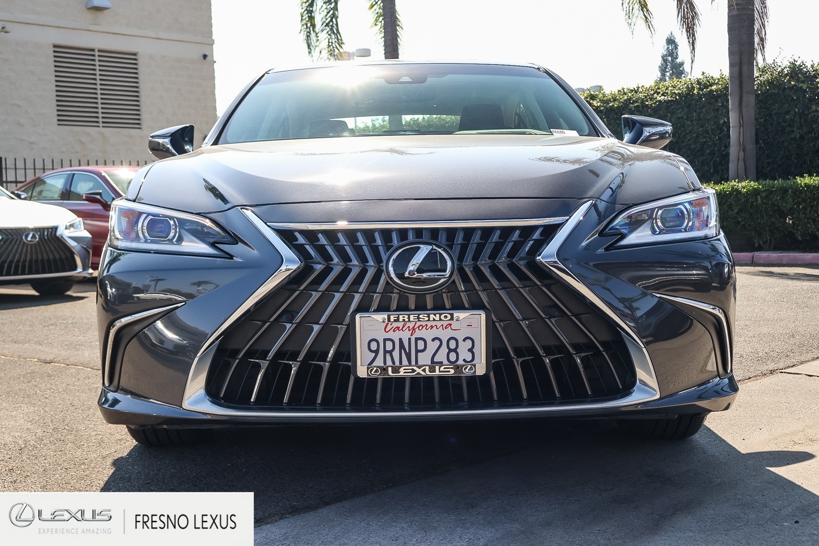 2025 Lexus ES 300h photo 2