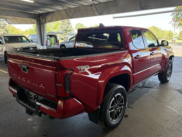 2024 Toyota Tacoma TRD Sport photo 5