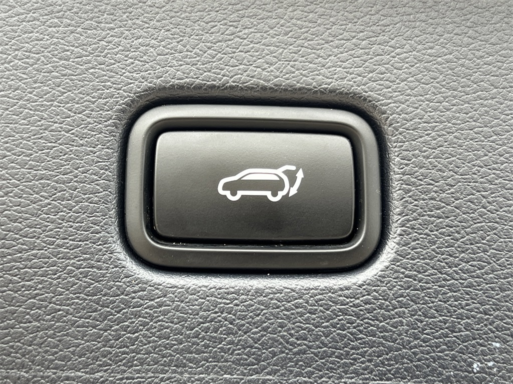 2021 Hyundai Palisade Calligraphy photo 4