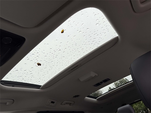 2026 Kia Carnival SX photo 4