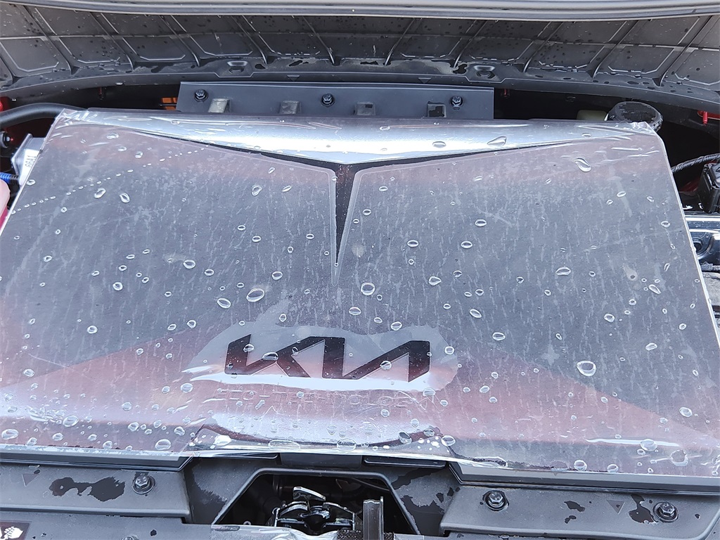 2024 Kia Niro EV Wave photo 17