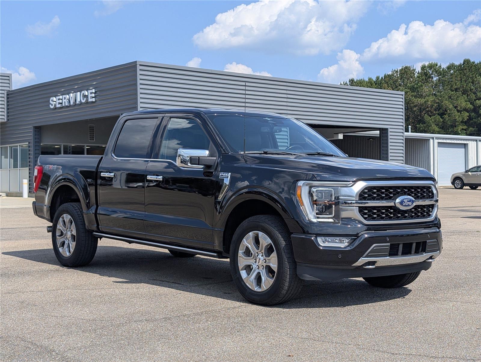 2023 Ford F-150 Platinum photo 8