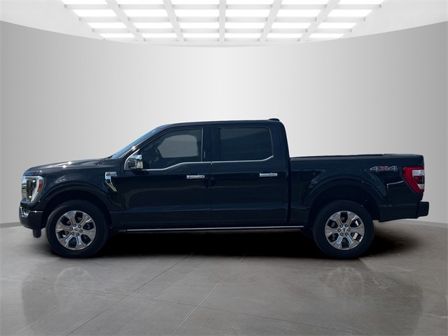 2021 Ford F-150 Platinum photo 4