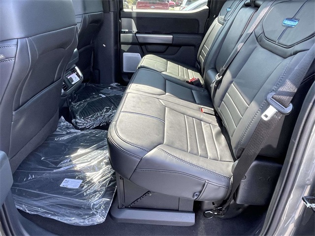 2025 Ford F-150 Platinum photo 4